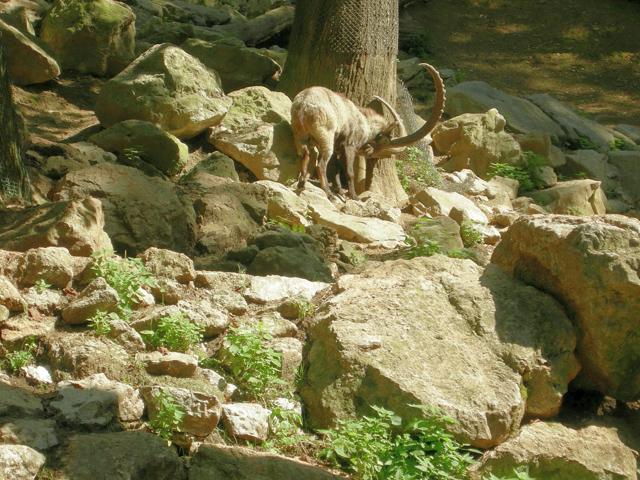 Ljubljana Zoo